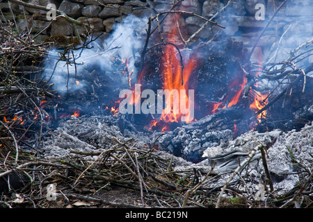 Holz auf einem Garten Feuer verbrannt Stockfoto