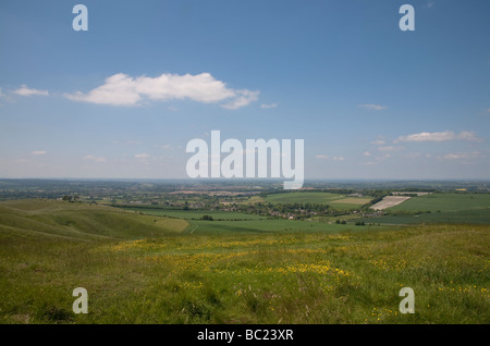 Blick auf die North Wiltshire Landschaft von der Spitze des Cherhill Down in der Nähe von Calne an einem sonnigen Sommertag Stockfoto