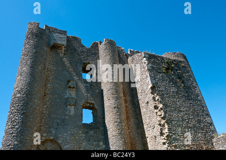 Ruiniert Schloss / Burg mit Blick auf Winkel-Sur-l'Anglin, Vienne, Frankreich. Stockfoto
