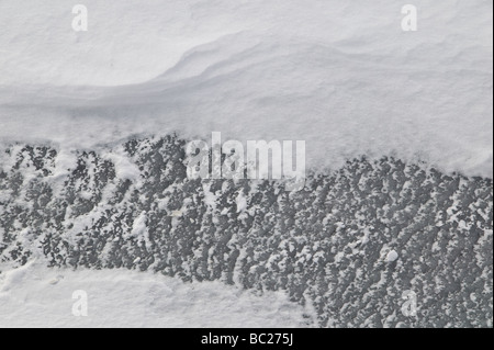 In der Nähe von Schneeverwehungen auf Eis. Die schwersten Schneefälle in über einem Jahrzehnt Rotwild flachbild National Wildlife Refuge Stockfoto