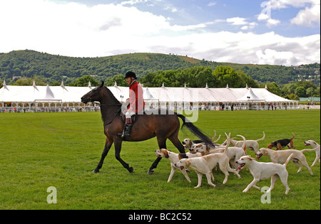 Jäger und Hunde in den drei Grafschaften Show, Great Malvern, UK Stockfoto