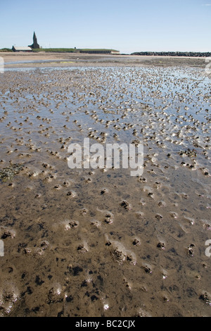 Wurm wirft am Strand von Newbiggin-by-the-Sea, Northumberland. Die Würmer werden von den Fischern als Köder verwendet. Stockfoto