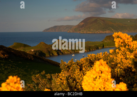 Luxus-Yachten ankern in den malerischen Watermouth Bucht-Hafen mit Blick entlang der Nord-Devon Küste UK Stockfoto