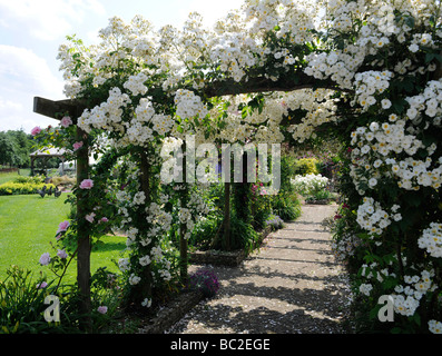 Englischer Garten mit Rosen auf einer Pergola in Somerset Stockfoto