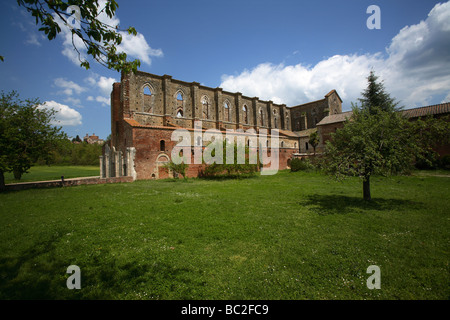 Die Ruinen der die dachlose San Galgano Abtei, Toskana, Italien Stockfoto