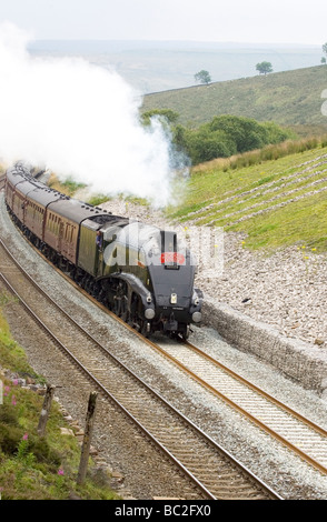 LNER Class A4 4488 Union of South Africa auf Settle - Carlisle railway Stockfoto