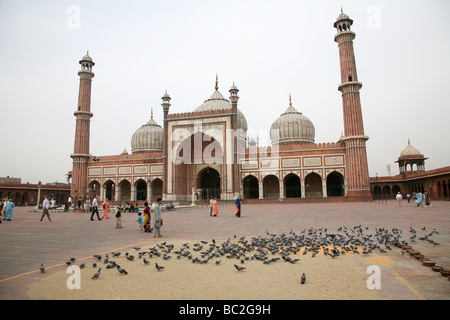 Der Innenhof der Jama Masjid Moschee in New Delhi die größte Moschee in Indien Stockfoto