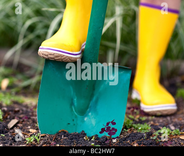 Gärtner im Boden mit einem Spaten Graben Nahaufnahme. Stockfoto