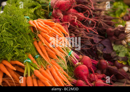 Rüben und Möhren zum Verkauf an die Farmer s Markt Santa Barbara Kalifornien Stockfoto