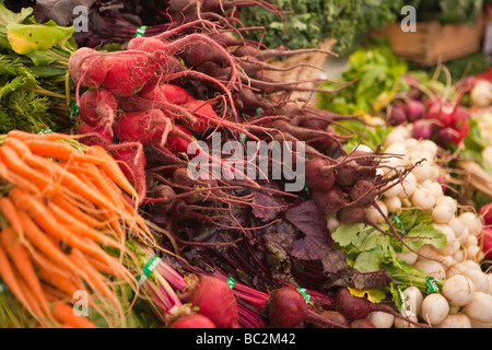 Rüben Karotten und Radieschen zum Verkauf an die Farmer s Markt Santa Barbara Kalifornien Stockfoto