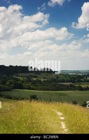 Chalk weg auf Chiltern Hills. Aston Rowent, den Chilterns, Buckinghamshire, England Stockfoto