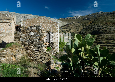 Kakteen und Ruinen von Turmhäusern in Vathia, Halbinsel Mani, Peloponnes, Griechenland. Stockfoto