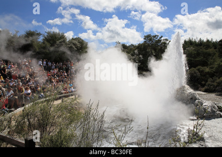 Gruppe von Touristen beobachten der Lady Knox Geyser ausbricht, Wai-O-Tapu Thermal Wonderland, Rotorua Stockfoto