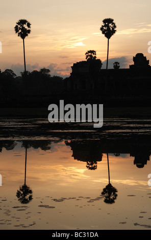 [Palmen] spiegelt sich im Wasser, [Angkor Wat] Sonnenaufgang, Kambodscha Stockfoto