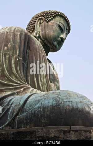 Daibutsu, der grosse Buddha in Kamakura, Japan wurde 1252 n. gegossen Stockfoto