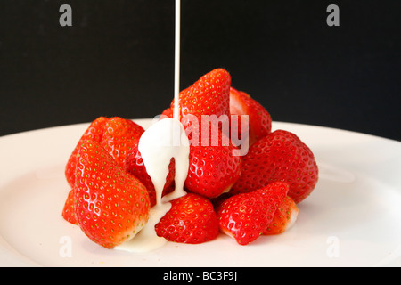 Frische schottische Erdbeeren und Rahm auf weißem Teller Stockfoto