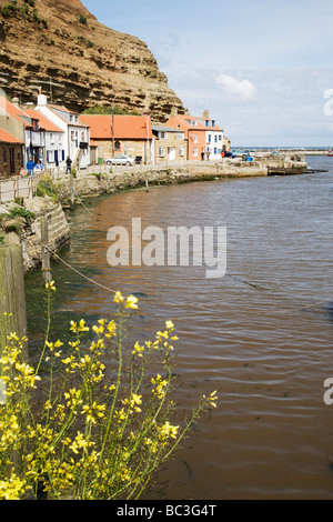 Staithes "Fischerdorf" in North Yorkshire, England, UK. Stockfoto