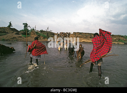 Massai-Krieger, bewaffnet mit Pfeil und Bogen begleiten ihr Vieh über den Mara Fluss Kenia in Ostafrika Stockfoto