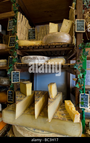 Auswahl an handgemachten Käse auf dem Display in der handwerklichen Fromagerie Cheese Shop "Caseus" Montreuil-Sur-Mer-Frankreich Stockfoto