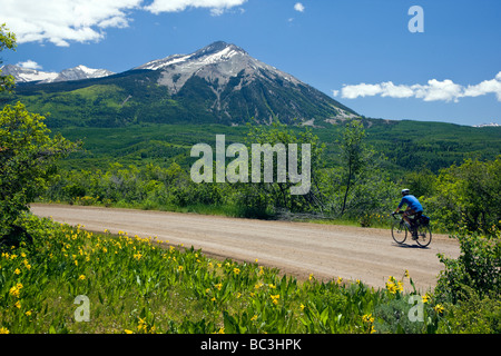 Ein einsamer Radfahrer Pedale auf RD 12 gegenüber Kebler passieren Colorado Mule Ohren Sonnenblume-Familie wachsen am Wegesrand Stockfoto