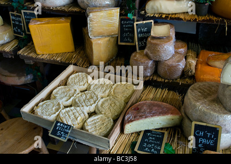 Auswahl an handgemachten Käse auf dem Display in der handwerklichen Fromagerie Cheese Shop "Caseus" Montreuil-Sur-Mer-Frankreich Stockfoto