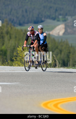 Radfahrer fahren auf dem Highway 50 über Monarch Pass in Colorado während der jährlichen Ride The Rockies Fahrrad tour Stockfoto