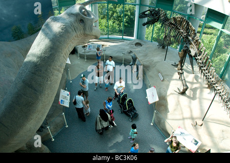 North Carolina Museum of Natural Sciences. Stockfoto