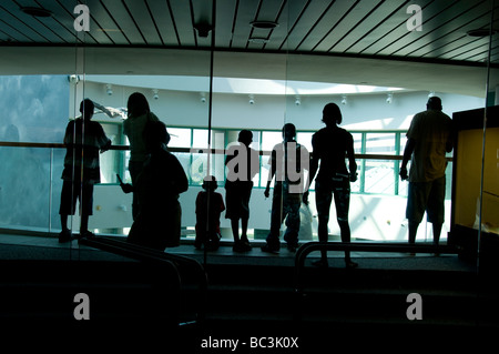 North Carolina Museum of Natural Sciences. Stockfoto