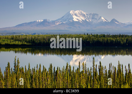 Mount Drum Wrangell St. Elias Nationalpark Alaska Stockfoto