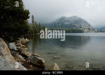 Tenaya Lake am Tioga Pass an einem nebligen, kalten und winterlichen Morgen. Stockfoto