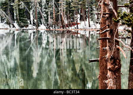 Woodland Reflexion in ruhiger See Mamie, Mammoth Lakes, Kalifornien, an einem frühen Wintermorgen. Stockfoto