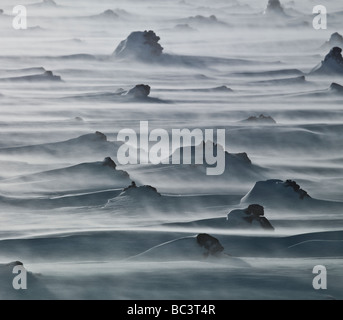 Schnee-Sturm mit Wind über Lava, Myrdalssandur, Island Stockfoto