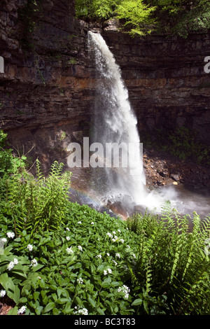 Hardraw Kraft angeblich Englands höchste Freefall Wasserfall obere Wensleydale Yorkshire Dales National Park Stockfoto