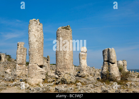 Bulgarien - Nord-Ost Region - Dobrogea Region - Pobiti Kamani (Steinwald gepflanzt oder versteinert) Stockfoto