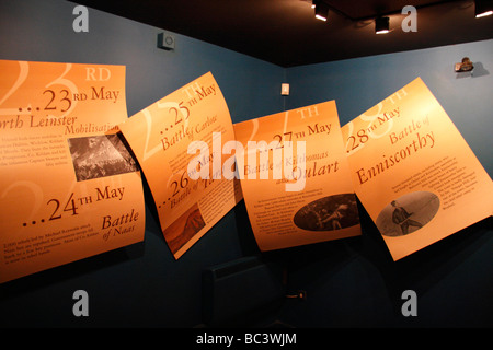 Eine Anzeige in der National 1798 Rebellion Zentrum, Enniscorthy, Co. Wexford, Irland. Stockfoto