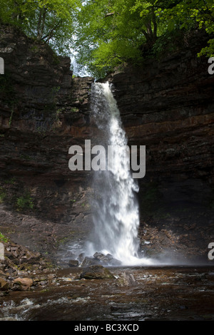 Hardraw Kraft angeblich Englands höchste Freefall Wasserfall obere Wensleydale Yorkshire Dales National Park Stockfoto