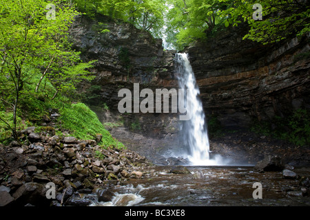 Hardraw Kraft angeblich Englands höchste Freefall Wasserfall obere Wensleydale Yorkshire Dales National Park Stockfoto