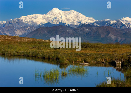 Denali Mount McKinley 6 193 6 m 20 320 ft vom kleinen See auf Kesugi Ridge Denali State Park Alaska Stockfoto