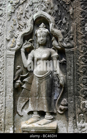 "Close up" weibliche gesagt Figur gemeißelt in Stein, 'Ta Prohm"Tempelruinen, Angkor, Kambodscha Stockfoto