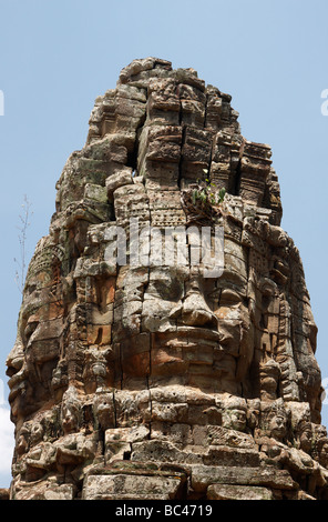 Buddha Gesicht in Stein gemeißelt-Turm, "Ta Prohm" Tempelruinen, Angkor, Kambodscha Stockfoto