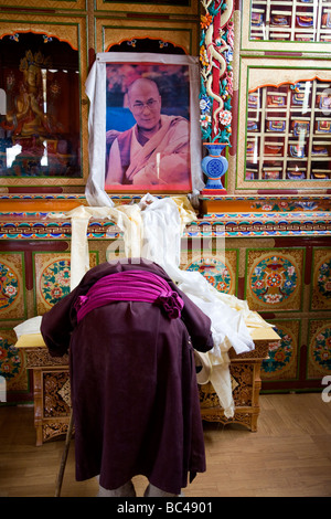 Alte tibetische Mönch niederwerfen vor Dalai Lama Portrait. Jivatsal Tempel. Choglamsar. In der Nähe von Leh. Ladakh. Indien Stockfoto