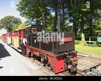 die Lynton und Barnstaple schmale Lehre Eisenbahn Stockfoto