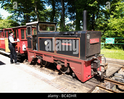 die Lynton und Barnstaple schmale Lehre Eisenbahn Stockfoto