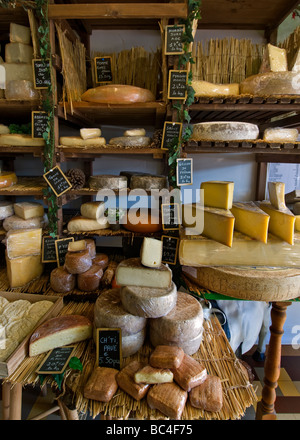 FROMAGERIE handgemachten Käse auf dem Display in der charmanten Artisan fromagerie Käse Shop "Caseus "Montreuil-sur-Mer Frankreich Stockfoto