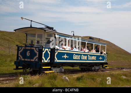 Die Great Orme Tramway Straßenbahn, die in den Great Orme in Llandudno Wales. England Stockfoto