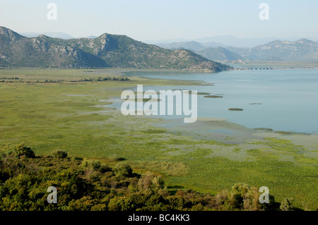 Ein Blick auf den Lake Skadar und den angrenzenden Feuchtgebieten und in den Bergen, mit Blick auf das Dorf von Virpazar, in Montenegro. Stockfoto