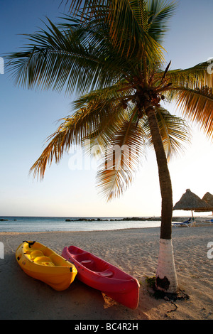 Blick über einem paradiesischen Strand mit Palme auf der karibischen Insel Curaçao auf den niederländischen Antillen Stockfoto