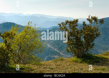 Schöne Natur von Zypern Troodos-Gebirge. Stockfoto