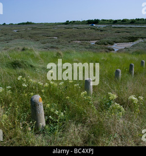 Leigh on Sea, Essex Sümpfe Stockfoto