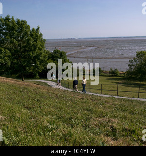 Park mit Blick auf Leigh on Sea, Essex Stockfoto